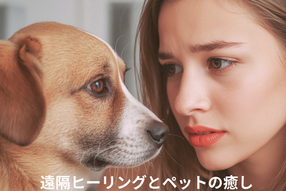 遠隔ヒーリングとペットの癒し (1)
