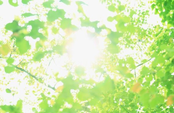 特定商取引法|福岡アロマセラピスト養成SOUIBODY